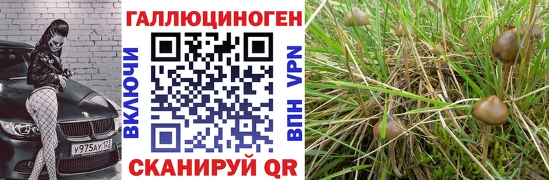 Галлюциногенные грибы ЛСД blacksprut ССЫЛКА Комсомольск-на-Амуре